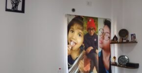 Printed Blinds