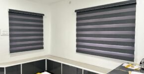 Office Interior Zebra Blinds